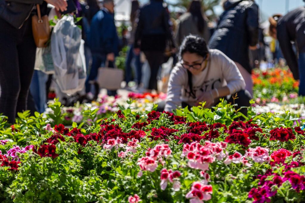Dall' 1 al 3 maggio 2026 📍 Luogo: Porto Turistico di Pescara – Marina di Pescara
